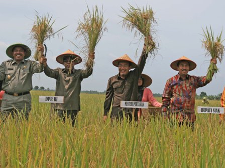 Kedaulatan Pangan, Prabowo Janjikan Cetak Sawah Baru 